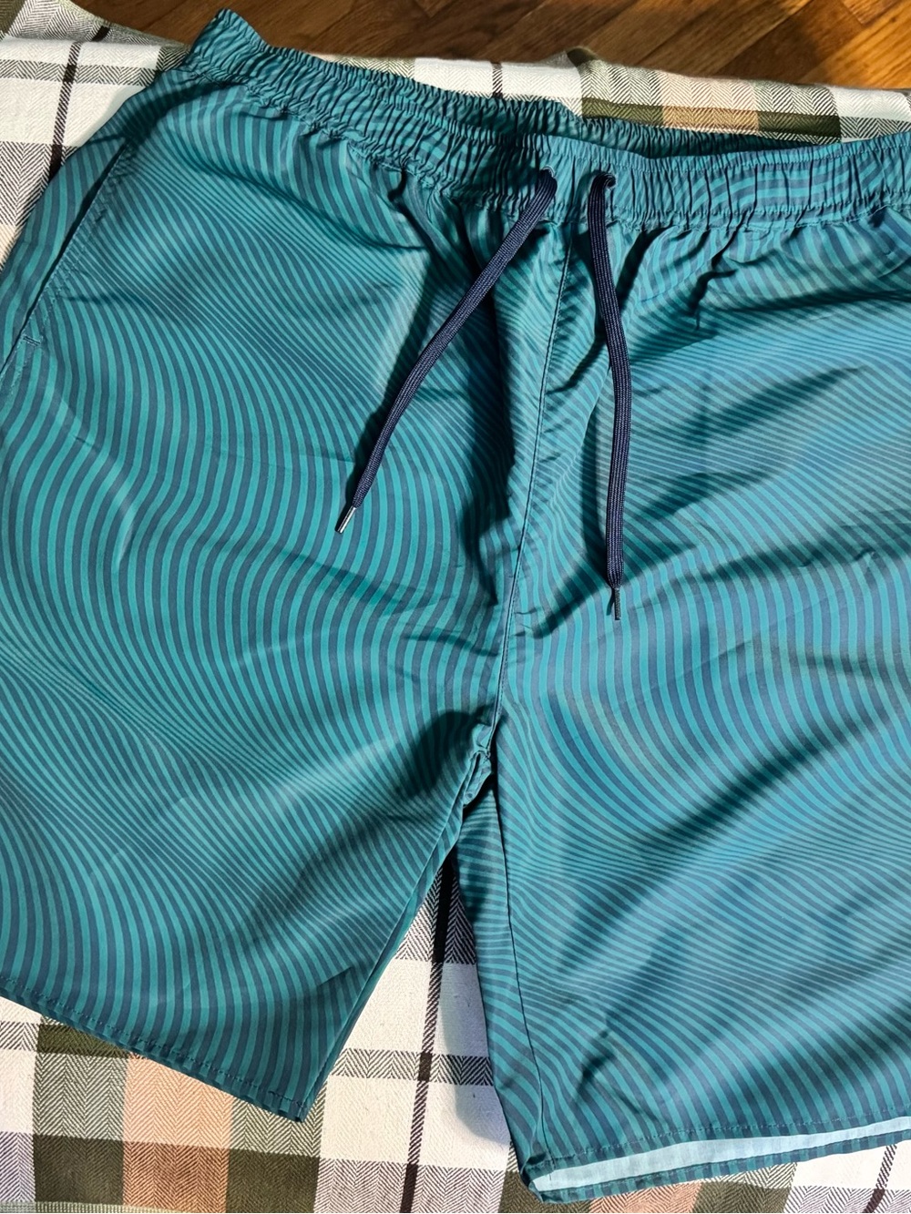 Undefeated Teal and Navy Striped Swim Trunks